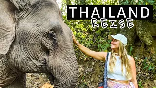 THAILANDS NORDEN Chiang Mai - Deine perfekte Reise /URLAUB und TIPPS - Elefanten, Nachtzug & Tempel