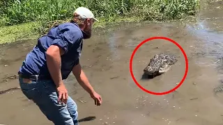 6 Crocodile Encounters You Won't Handle Watching