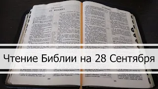 Чтение Библии на 28 Сентября: Псалом 89, Евангелие от Луки 10, 4 Книга Царств 22, 23