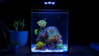 2 Hours of Nano Reef Tank Relaxation [Relaxing Piano Music]