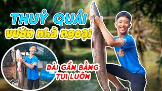 Ngáo TV / Về Quê Thăm Ngoại Và Phát Hiện Thuỷ Quái Sau Vườn