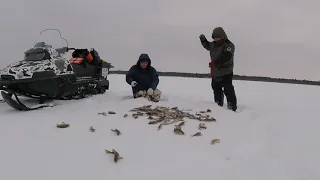 РЫБАЛКА В ХМАО ГЛУХИЕ ОЗЕРА