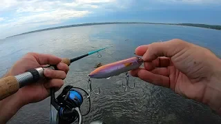 Striper and Bluefish FIGHT for this Plug - TOPWATER Bay Bass