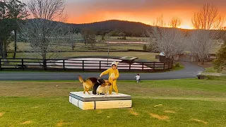 Kids and Dogs Best Friends | Mattresses, Sunrises, Science Experiments, Fire Place