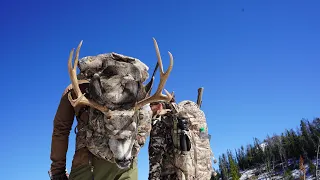 PUBLIC LAND MULE DEER IN THE WYOMING BACKCOUNTRY