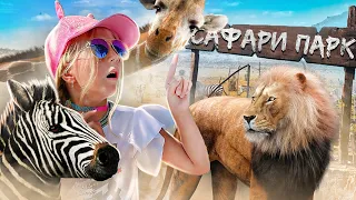 ЧУТЬ НЕ РАЗДАВИЛИ ЛЬВА!  САМЫЙ ЛУЧШИЙ В МИРЕ ЗООПАРК! САФАРИ! ЛЕВ ХОЧЕТ НАПАСТЬ НА МИЛАНУ!