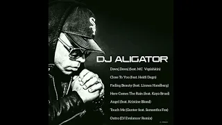 DJ ALIGATOR / BEST HOUSE MUSIC