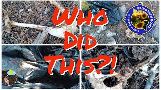 Trash Bags With Bones!! Dylan Rounds Search *Graphic Warning ⚠️ ☠️