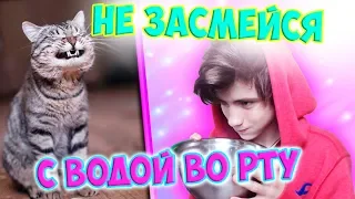 САМОЕ СМЕШНОЕ ВИДЕО В МИРЕ | НЕ ЗАСМЕЙСЯ С ВОДОЙ ВО РТУ ЧЕЛЛЕНДЖ | ТЕСТ НА ПСИХИКУ CHALLENGE