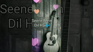 Seene Main Dil Hai | Sharukh Khan | Juhi Chawla | Raju Ban Gaya Gentleman.