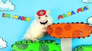 Mr. Hamster becomes Mario to obstacle course