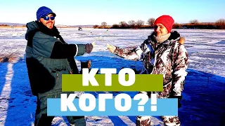 Ловим корюшку. Кто больше поймает рыбы?!