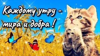 💓Желаю   мира и добра!🌞🕊Доброго утра благословенного дня!💗 Пусть Вас хранит Бог!🙏Я молюсь за Вас!🙏