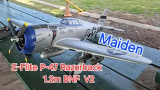 P-47 Razorback 1.2m BNF Basic with AS3X & SAFE Select Maiden Flight #RC P47