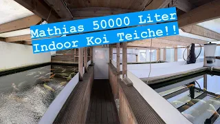 Mathias in Eigenleistung erbaute 50000 Liter Indoor Koi Teiche im Glashaus!