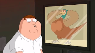 Family Guy - Pheasant On The Glass