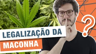 O BRASIL DEVE LEGALIZAR A MACONHA? | MANUAL DO BRASIL