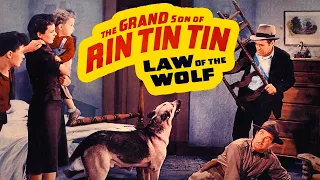 Law of the Wolf (1939) Rin Tin Tin - Crime, Drama, Western Movie Full Movie