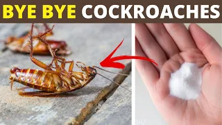 2 Home Remedies to Get Rid of Cockroaches in Your House Using Baking Soda and Onion | House Keeper