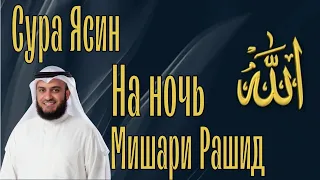 СУРА ЯСИН НА НОЧЬ В ИСПОЛНЕНИИ МИШАРИ РАШИДА