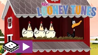 New Looney Tunes | A Duck In A Chicken Farm | Boomerang UK