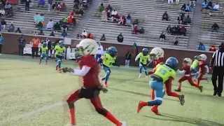 Ga Rattlers 8U vs DEA 8U  championship game