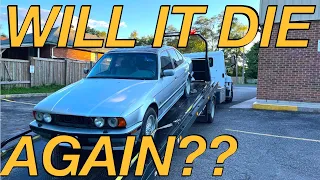 How hard is it to get a quote on a new paint job? Project E34 part 9