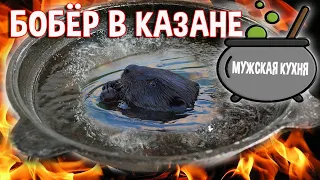 Бобёр в казане