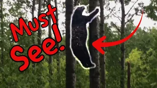 The Most Dramatic BEAR KILL Ever!!! (ep.5 - 2018)