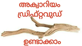 അക്വാറിയം ഡ്രിഫ്റ്റവുഡ് വീട്ടിൽ ഉണ്ടാക്കാം aquarium driftwood making in malayalam