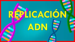 REPLICACIÓN del ADN // Explicacion FACÍL y RAPIDA