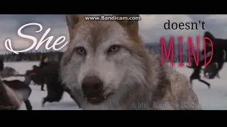 Twilight Wolves - She doesn't Mind  (Nightcore)