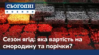 Сезон смородини та порічки: яка вартість ягід і чим вони корисні