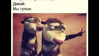 ахаха смеялись до слез (Ha Ha laughed to tears)