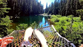 Remote Alpine Trout Fishing