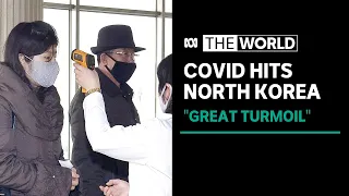 World Health Organisation warns COVID-19 may spread rapidly in North Korea | The World