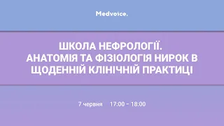 Школа нефрології. Анатомія та фізіологія нирок в щоденній клінічній практиці