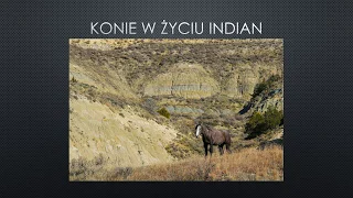 KONIE W ŻYCIU INDIAN - AMERYKA PÓŁNOCNA CIEKAWOSTKI #1