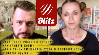 Интервью с ветеринарным врачем Blitz | Советы ветеринара | Запись прямого эфира из instagram