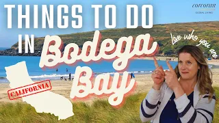 Things to do in Bodega Bay