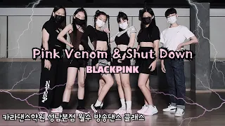 🎥BLACKPINK - Pink Venom + Shut Down [카라댄스학원_성남본점▪️월수 방송댄스 클래스]