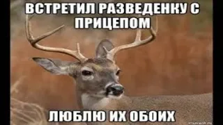 Как хорошо быть аленем! Найди себе женщину с ребенком! Одни плюсы!