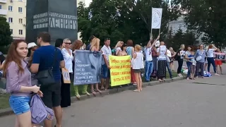 Пикет за закон о защите животных, Ростов-на-Дону, 8.07.2017