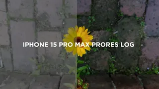 Iphone 15 Pro Max - Prores Log Test & Cinematic Test