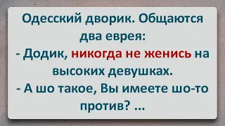 ✡️ Просто Додик! Еврейские Анекдоты! Анекдоты про Евреев! Выпуск #133