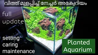 Planted aquarium / nature aquarium/ aqua scape in Malayalam / planted aquarium setting using seeds.