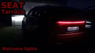 2021 SEAT Tarraco (facelift) | Welcome lights