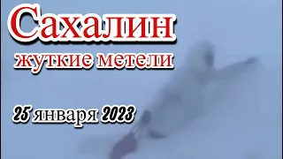 Сахалин накрыл снежный циклон и жуткие метели