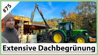 VLOG#75: Ohne Rückewagen geht nichts I Dachbegrünung anlegen I Grüner Daumen