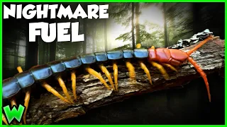 GIANT VENOMOUS CENTIPEDE! Is it Deadly?